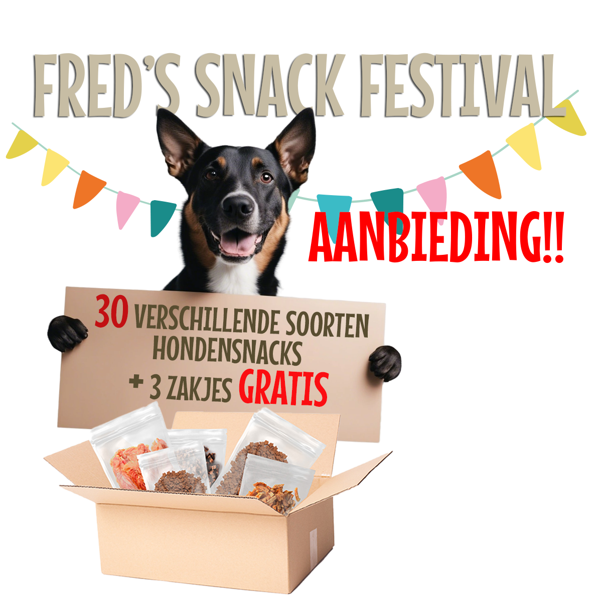 Fred's Snack Festival - p/doos 30 zakjes à € 3,00 + 3 zakjes GRATIS